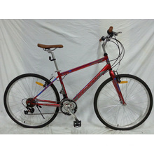 South America Good Quality 18speed Urban Bicycle (FP-CB-051)